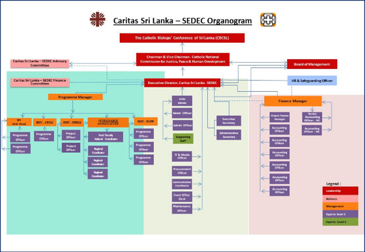 Organization Structure